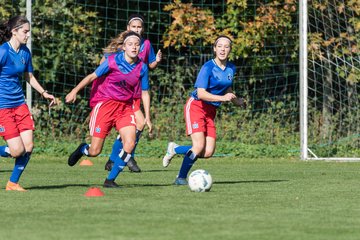 Bild 64 - wBJ HSV - SV Meppen : Ergebnis: 0:2